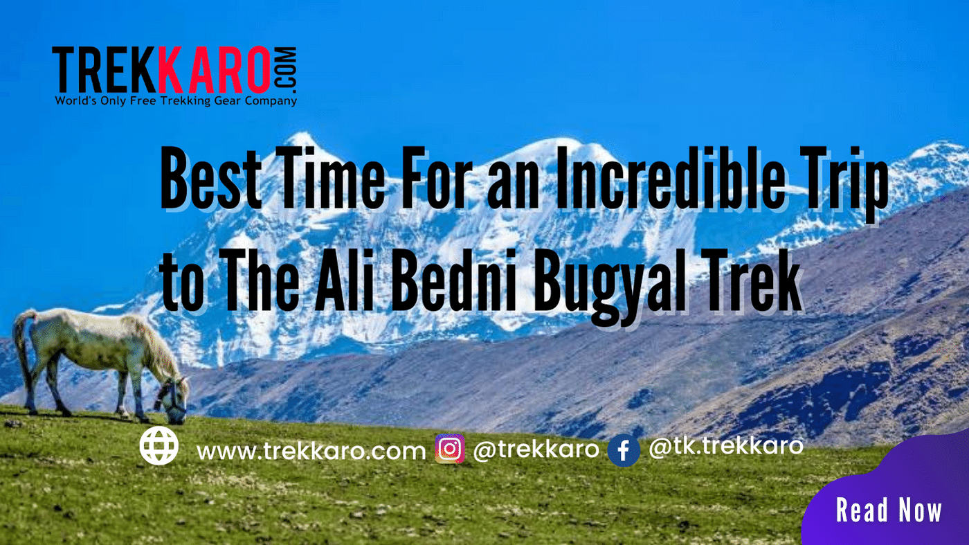 Best Time For an Incredible Trip to The Ali Bedni Bugyal Trek